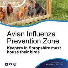 Avian Influenza Prevention Zone